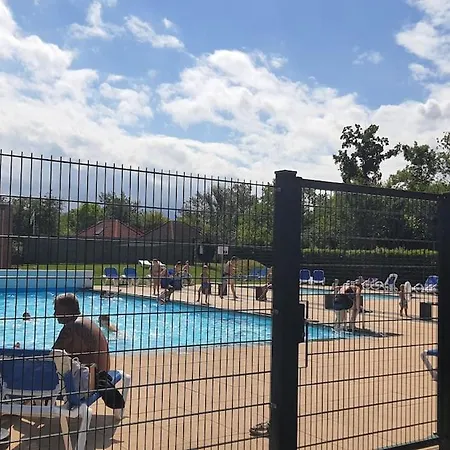 'rietvogel' * Herkingen