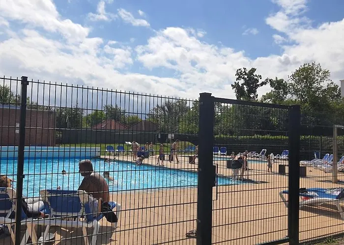 'rietvogel' * Herkingen