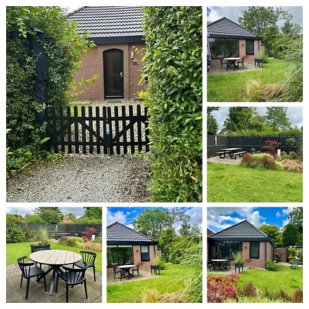 'rietvogel' Herkingen