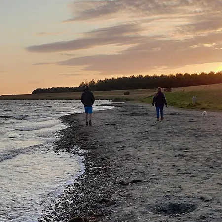 'rietvogel' * Herkingen