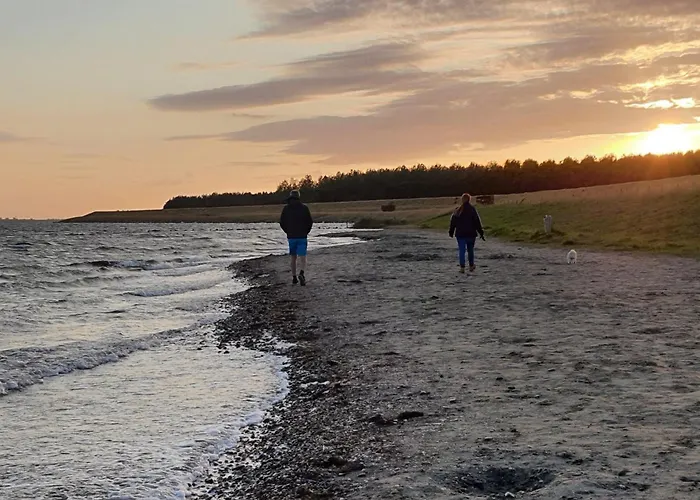 'rietvogel' * Herkingen